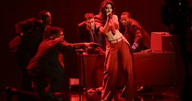 Investors and labels are buying into the growing South Asian music business in the U.S.