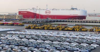 China’s car market heads for worst year since 2021 as sales plunge 20%